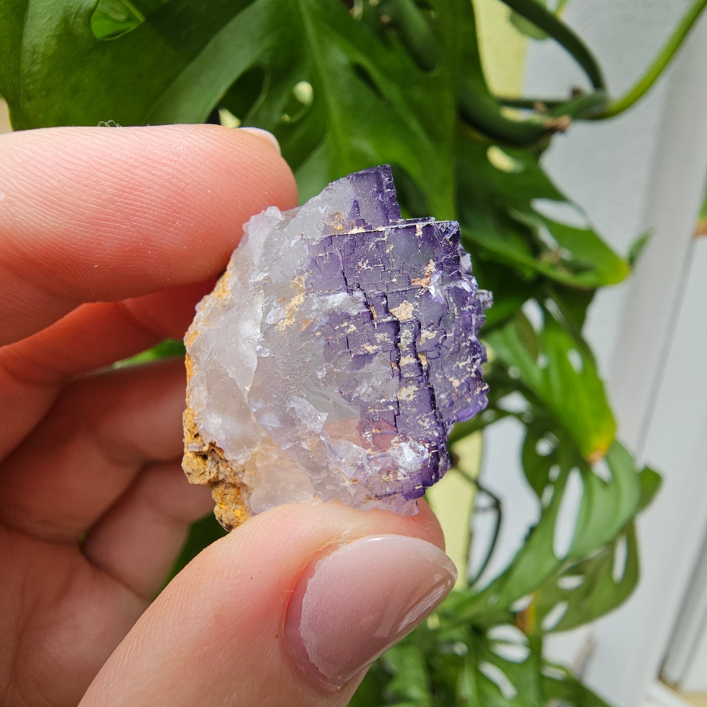 Purple Fluorite Specimen #31K