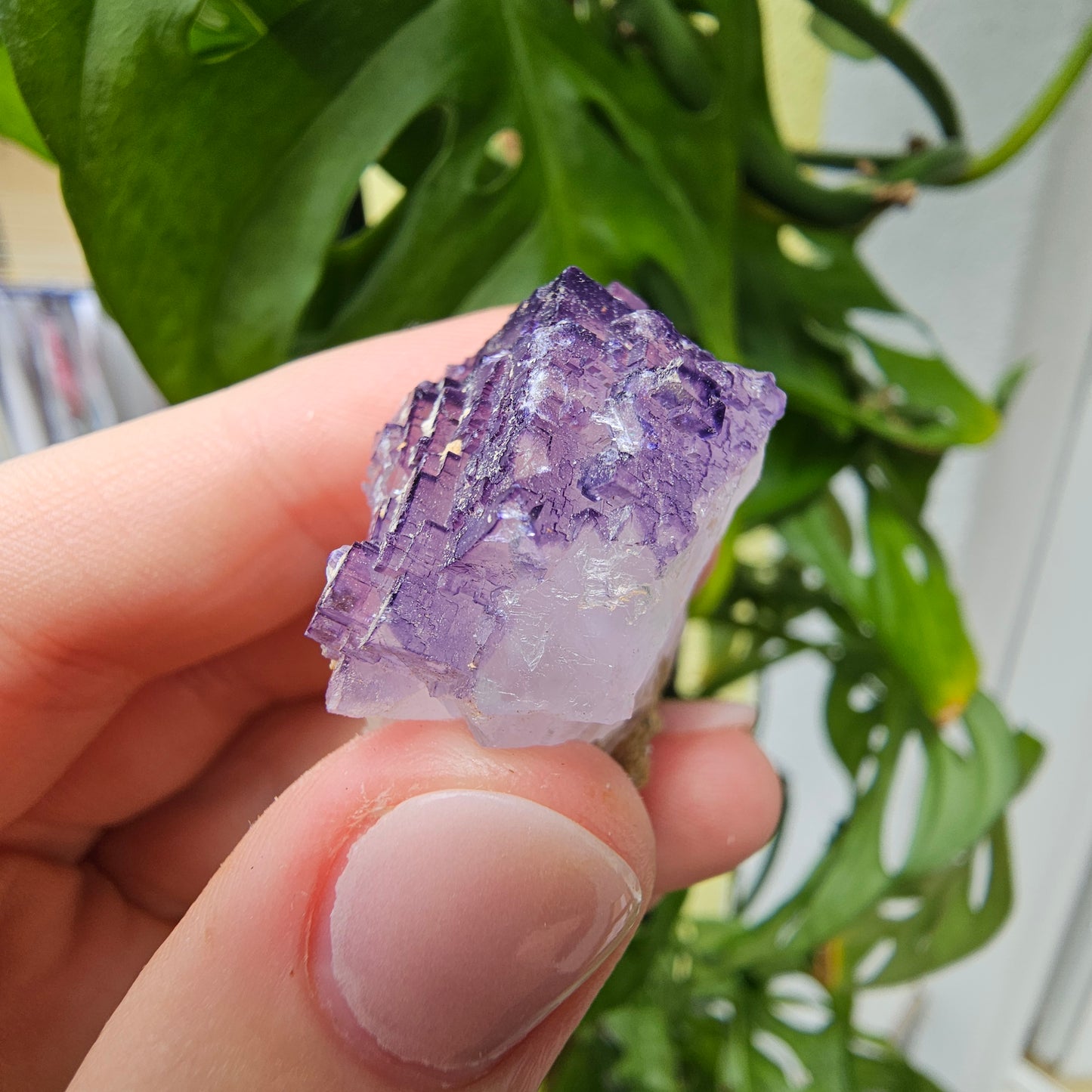 Purple Fluorite Specimen #31K