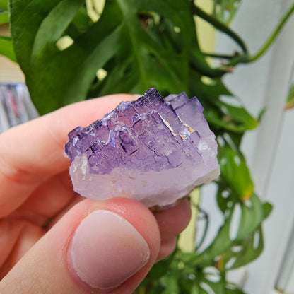 Purple Fluorite Specimen #31K