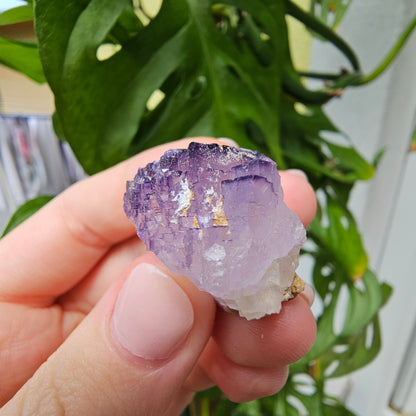 Purple Fluorite Specimen #31K