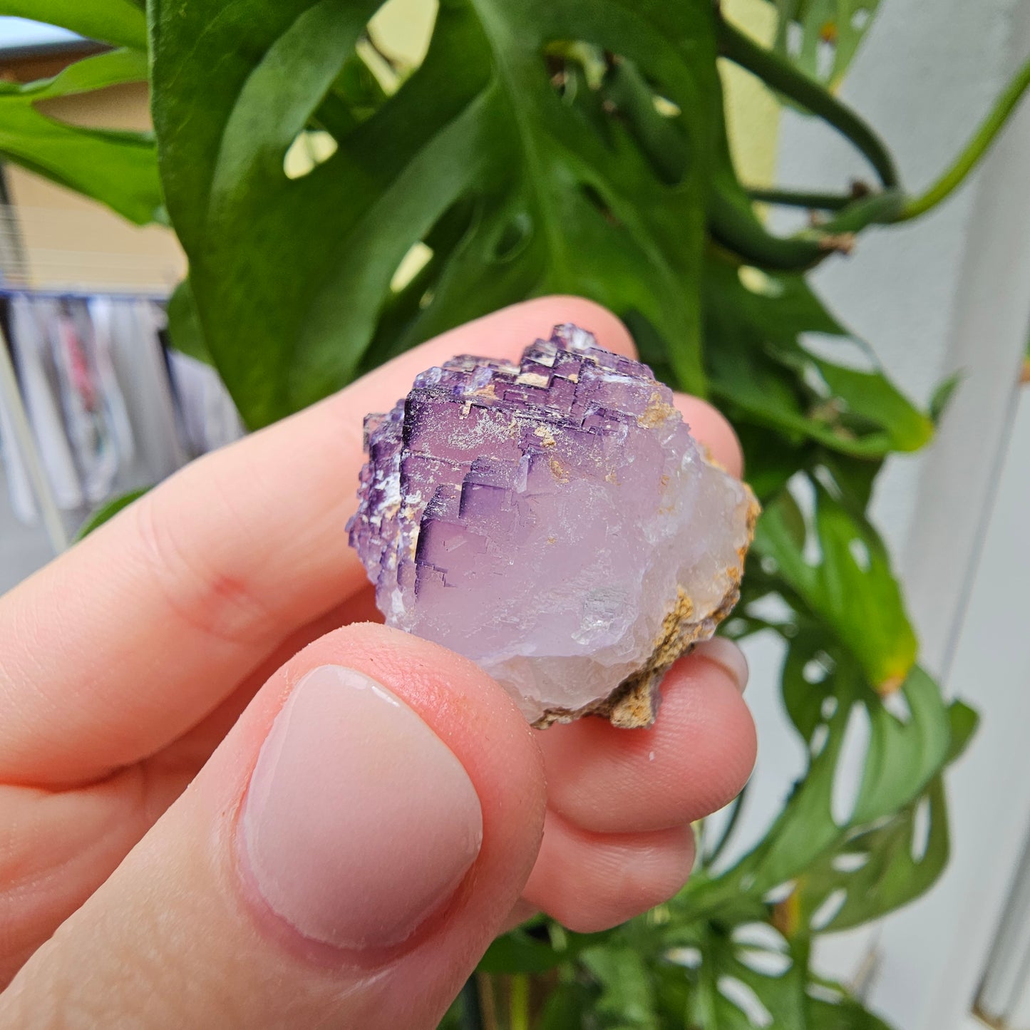 Purple Fluorite Specimen #31K