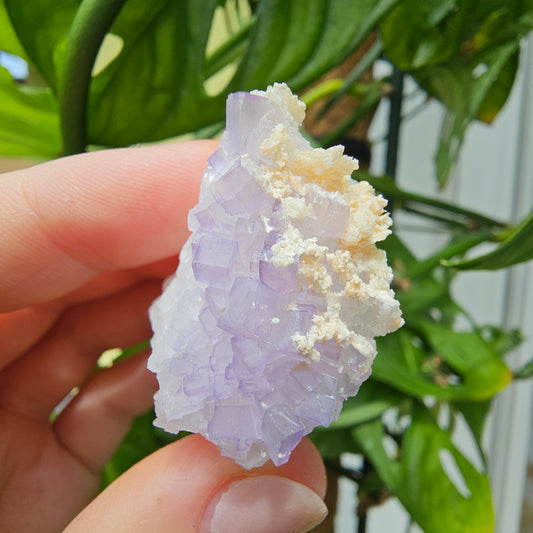 Purple Fluorite Specimen #49L