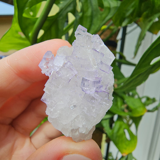 Purple Fluorite Specimen #38M