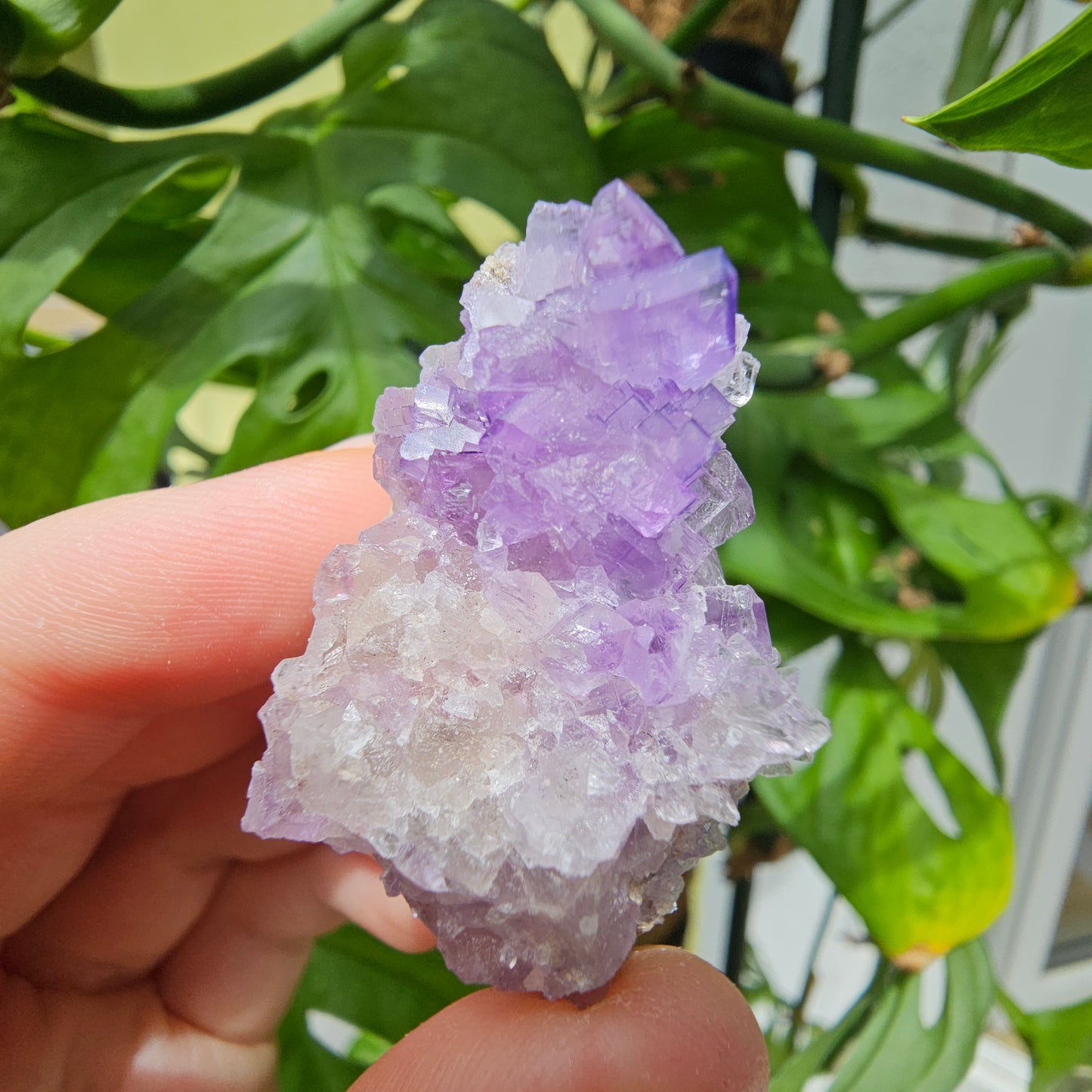 Purple Fluorite Specimen #35N