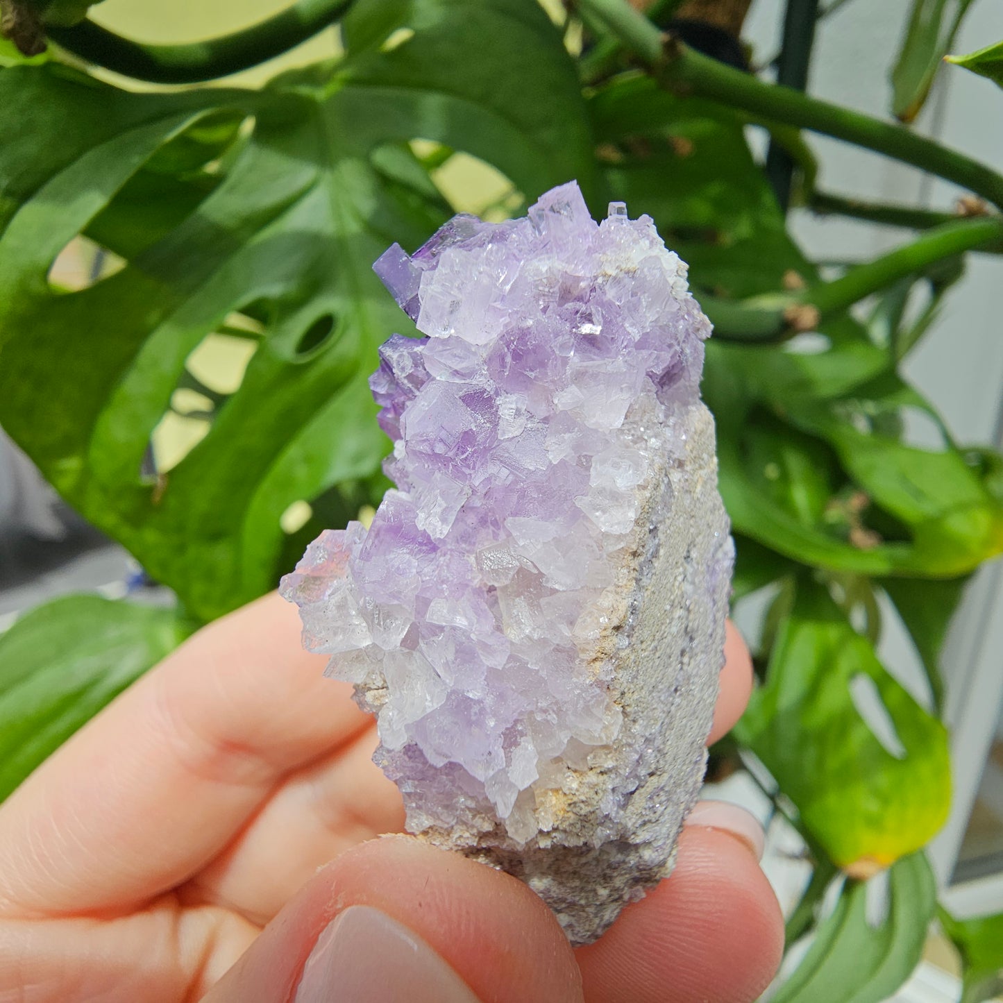 Purple Fluorite Specimen #35N