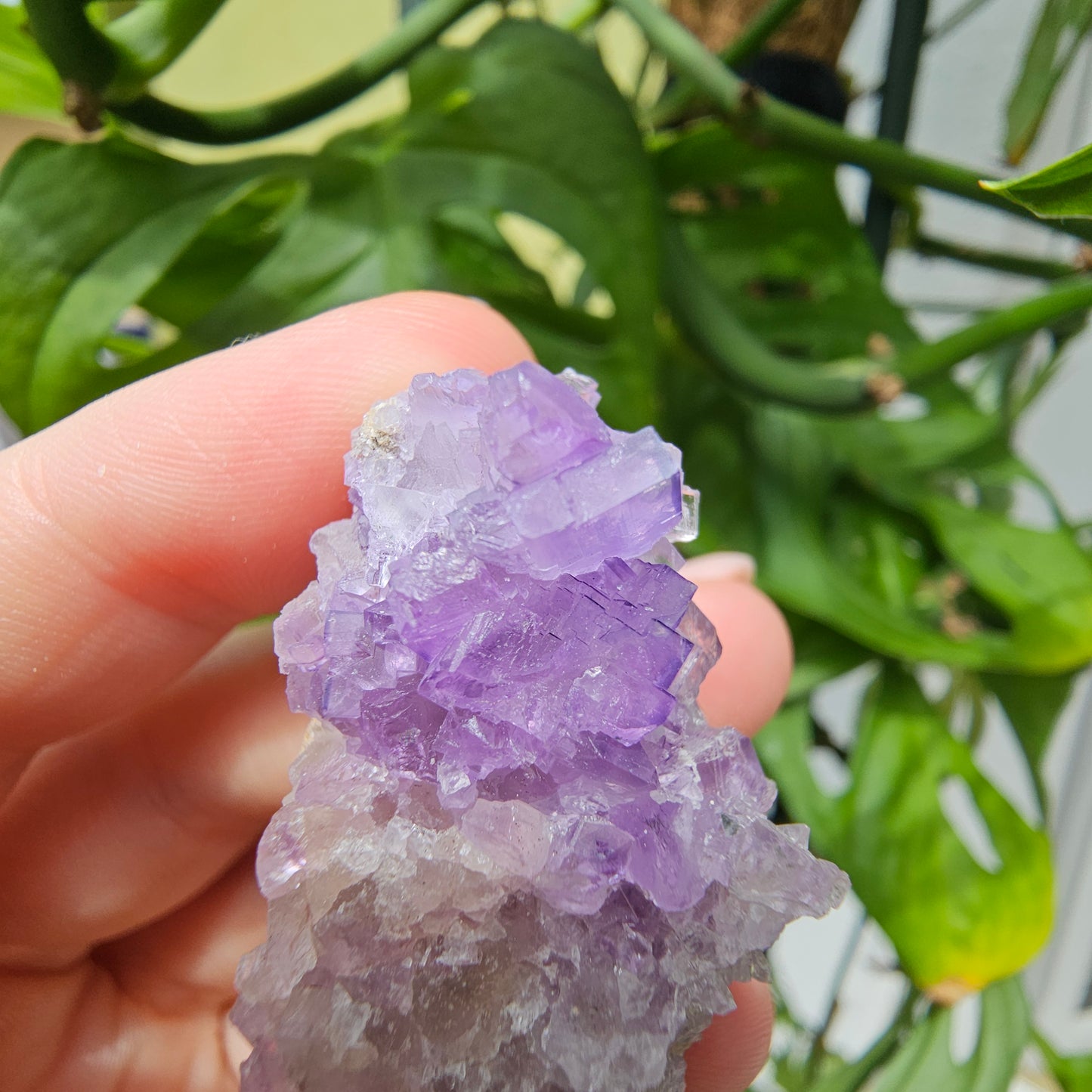 Purple Fluorite Specimen #35N