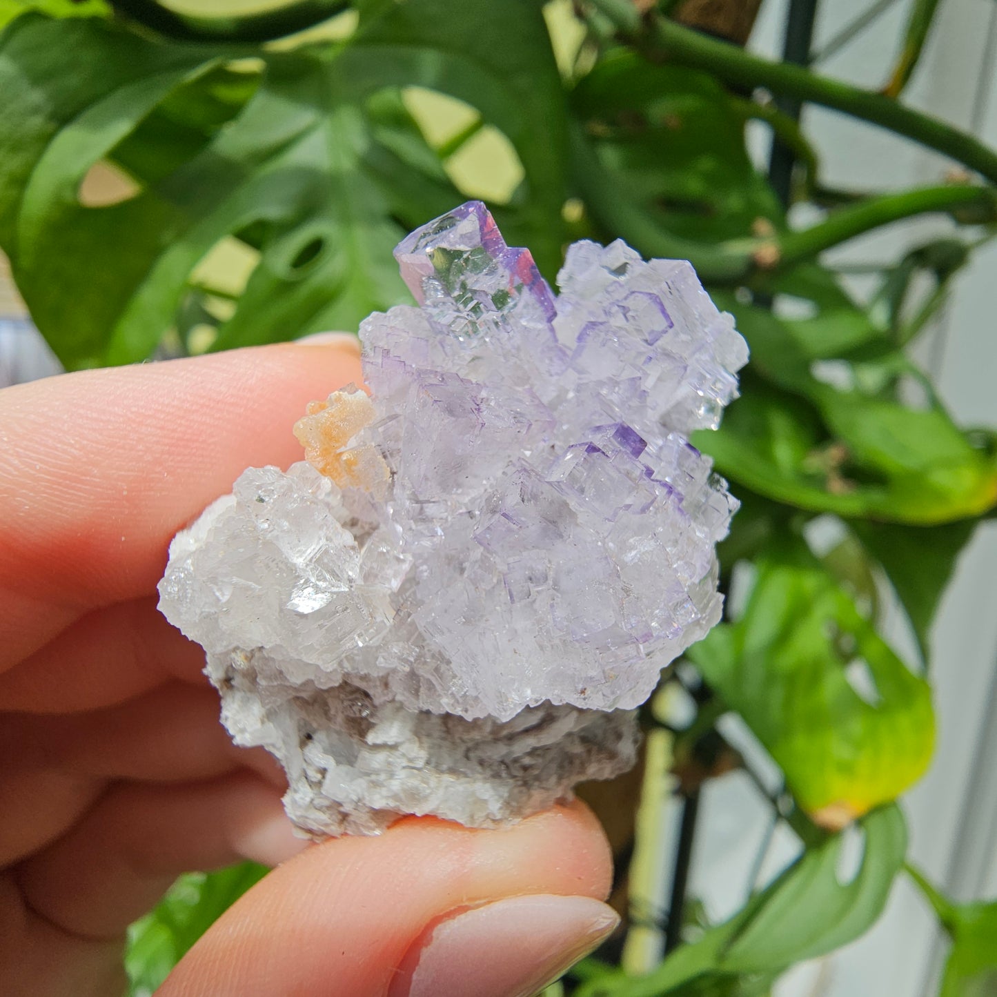 Purple Fluorite Specimen #39o