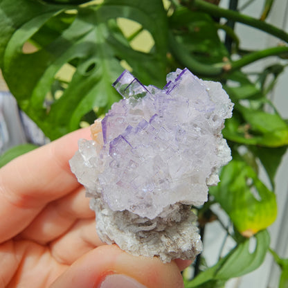 Purple Fluorite Specimen #39o