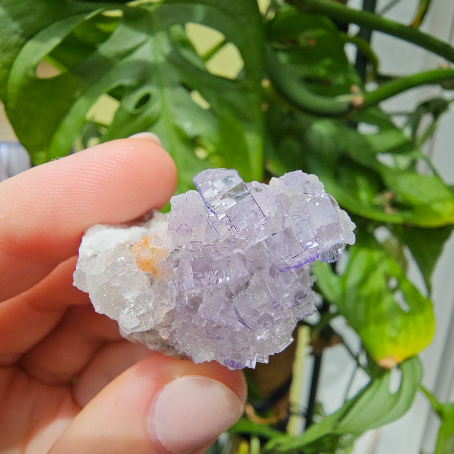 Purple Fluorite Specimen #39o