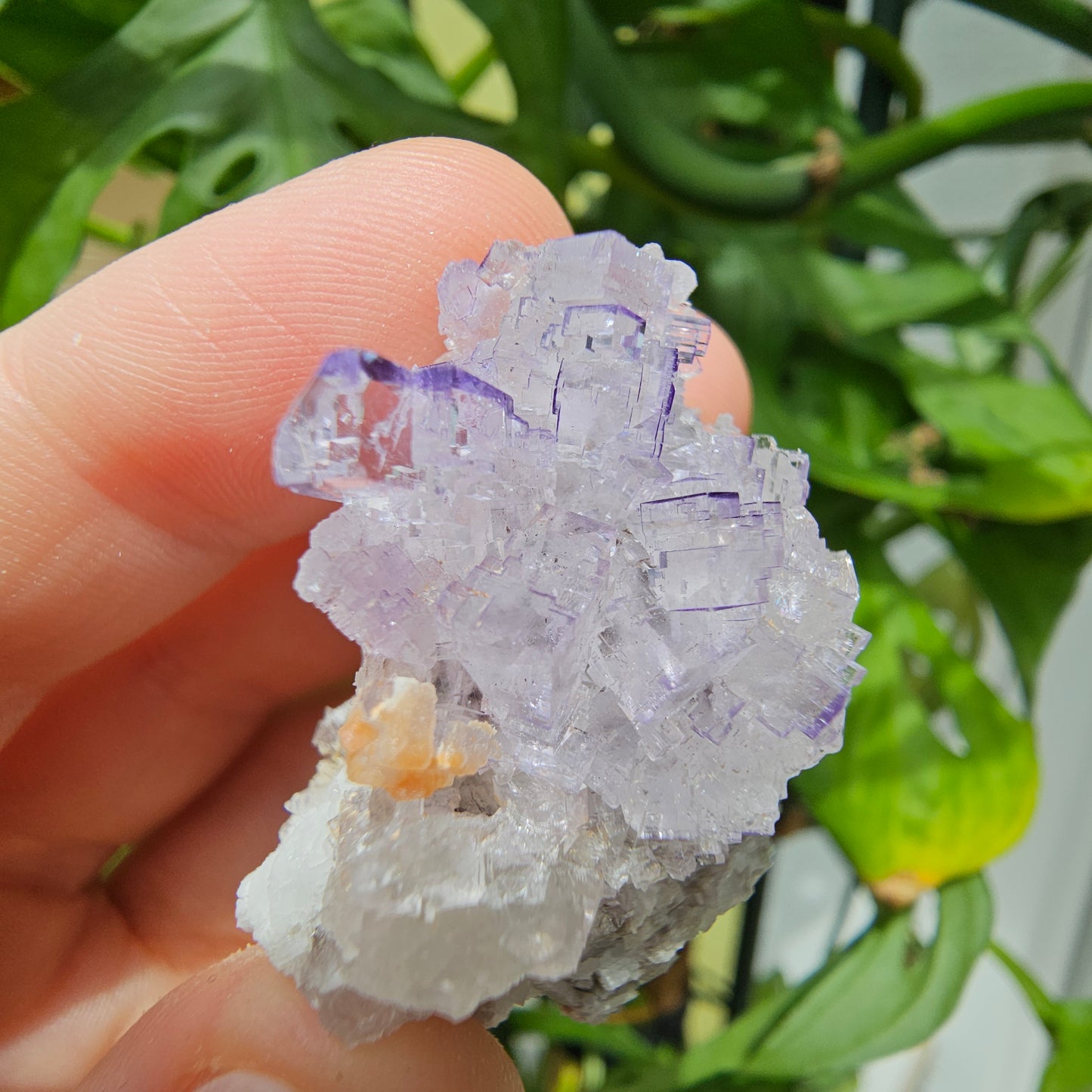 Purple Fluorite Specimen #39o