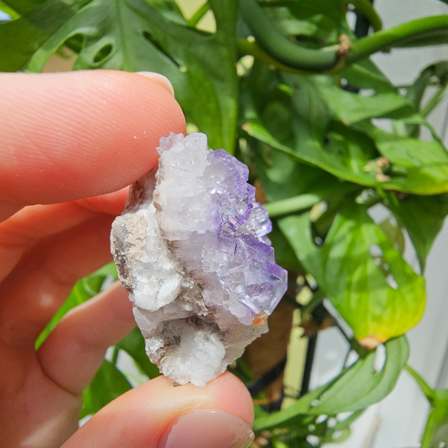 Purple Fluorite Specimen #39o