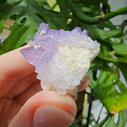 Purple Fluorite Grade #40Q