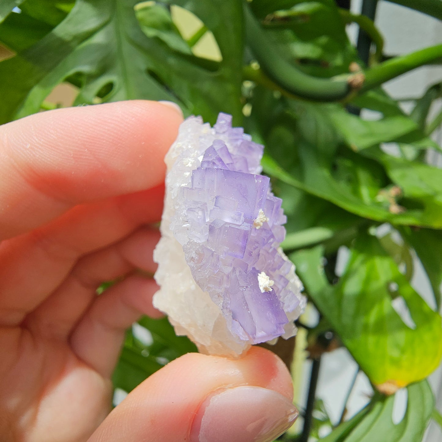 Purple Fluorite Grade #40Q