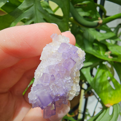 Purple Fluorite Grade #40Q