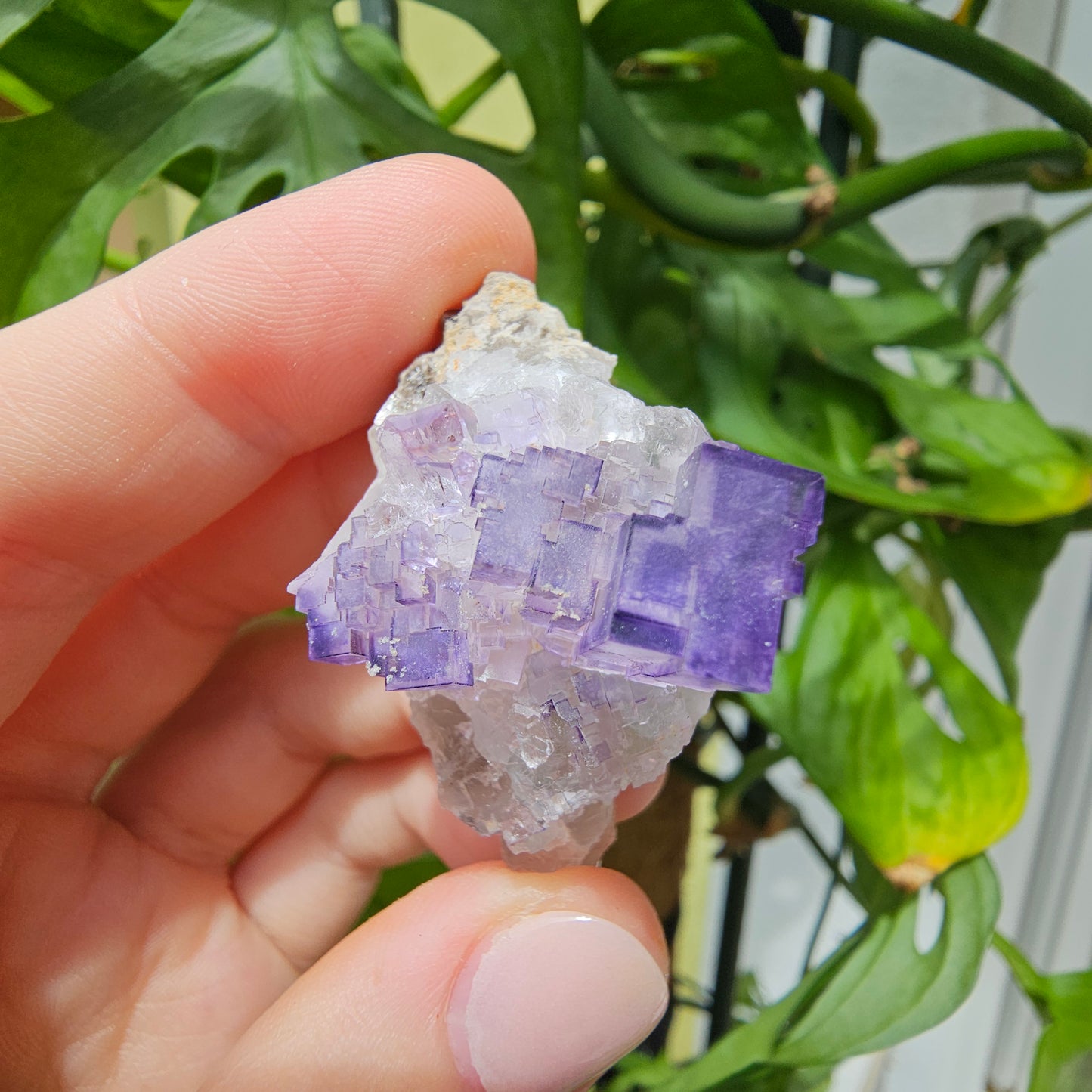 Purple Fluorite Specimen #32T