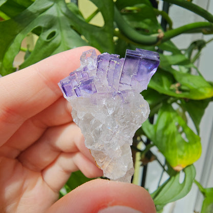 Purple Fluorite Specimen #32T