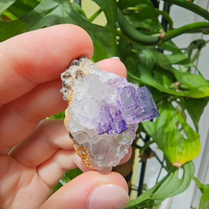 Purple Fluorite Specimen #32T