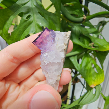 Purple Fluorite Specimen #32T