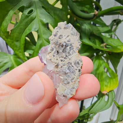 Purple Fluorite Specimen #32T