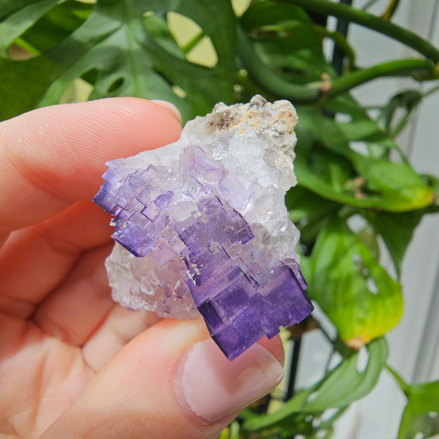 Purple Fluorite Specimen #32T