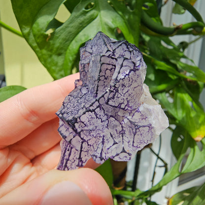 "QR Code" Fluorite from China #35K