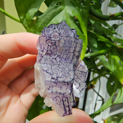 "QR Code" Fluorite from China #35K