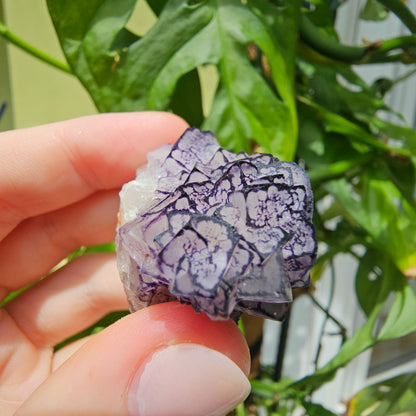 "QR Code" Fluorite from China #35K