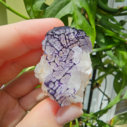 "QR Code" Fluorite from China #35K