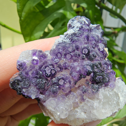 "QR Code" Fluorite from China #46M