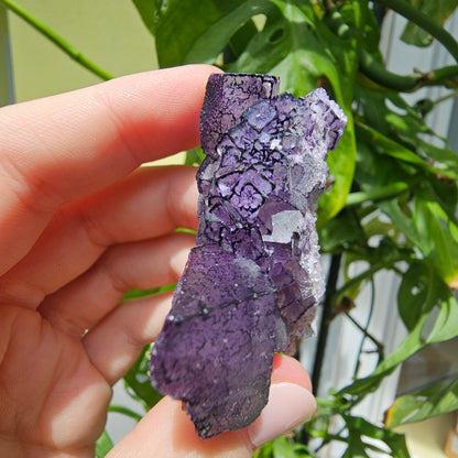 "QR Code" Fluorite from China #35Q