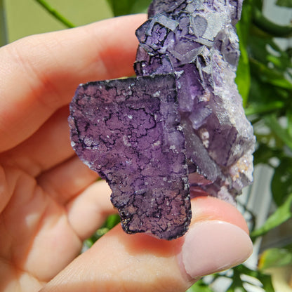 "QR Code" Fluorite from China #35Q