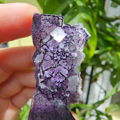 "QR Code" Fluorite from China #35Q