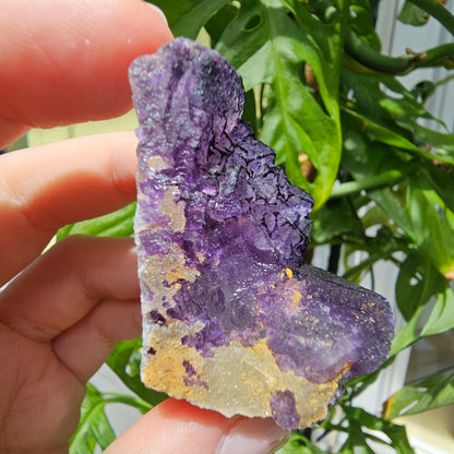 "QR Code" Fluorite from China #35Q