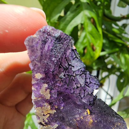 "QR Code" Fluorite from China #35Q