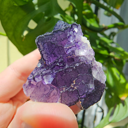 "QR Code" Fluorite from China #41Z