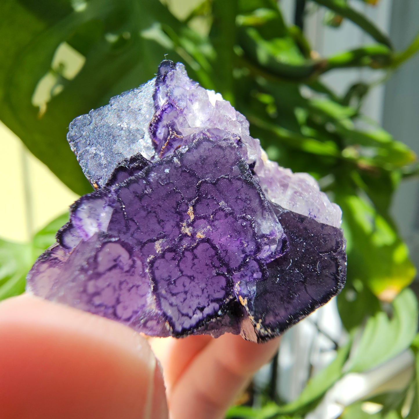 "QR Code" Fluorite from China #41Z