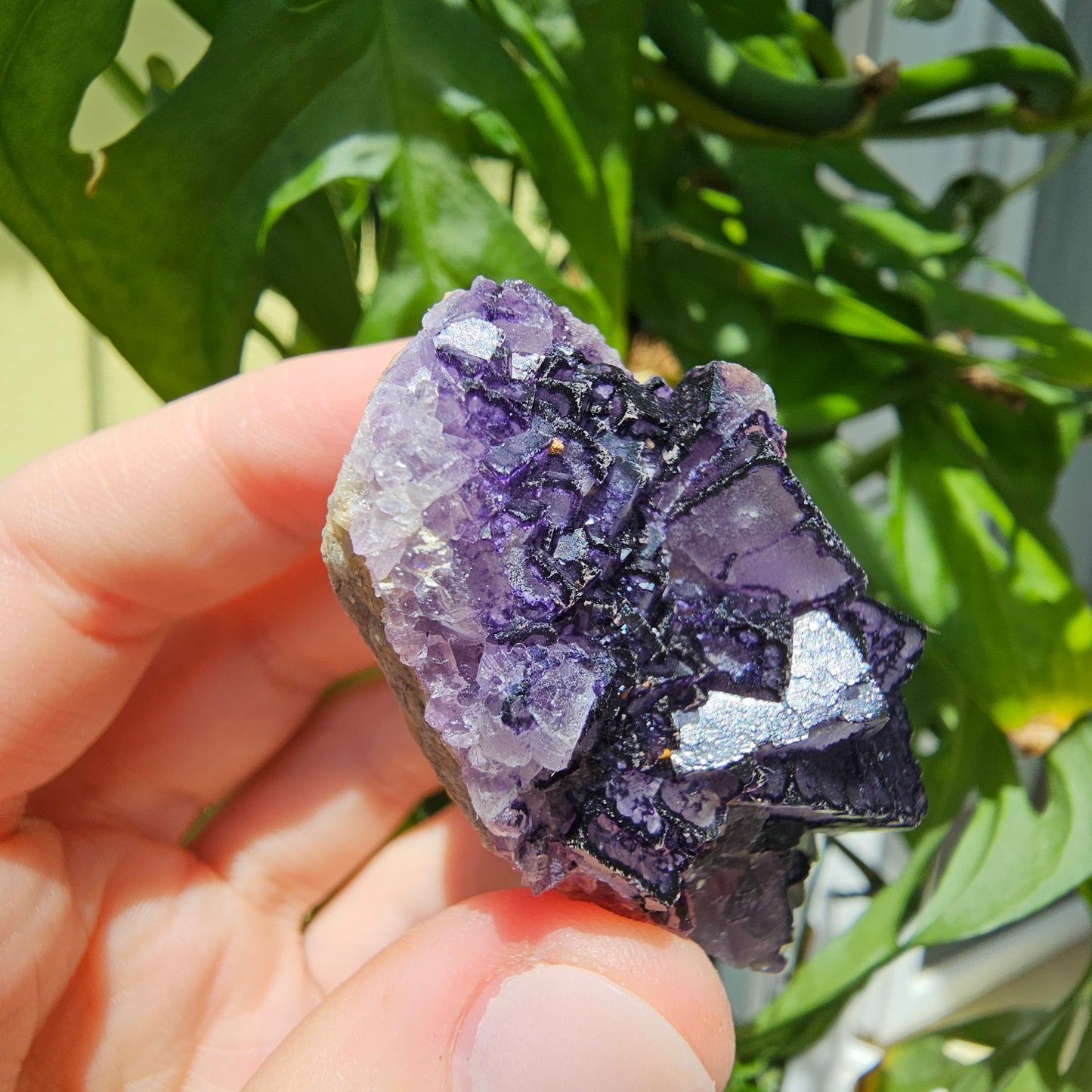 "QR Code" Fluorite from China #41Z