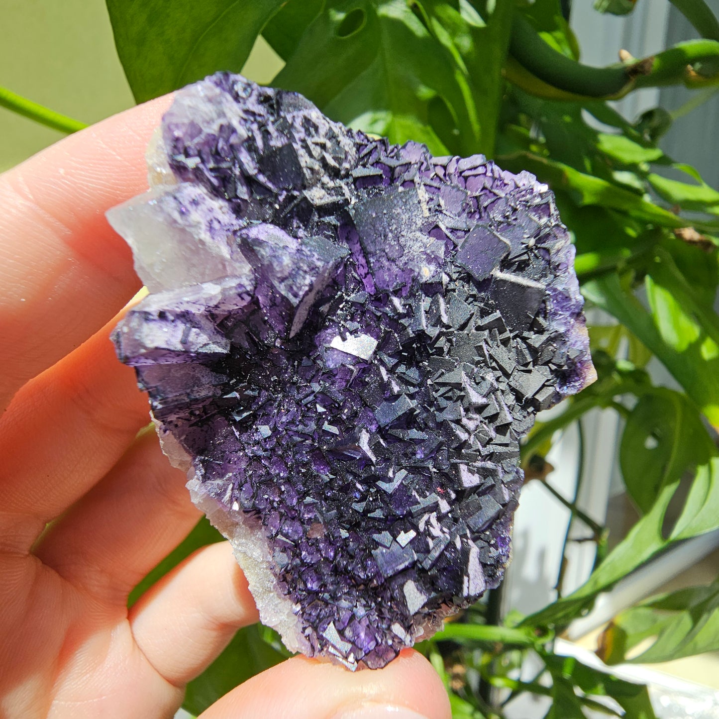 "QR Code" Fluorite from China #38a