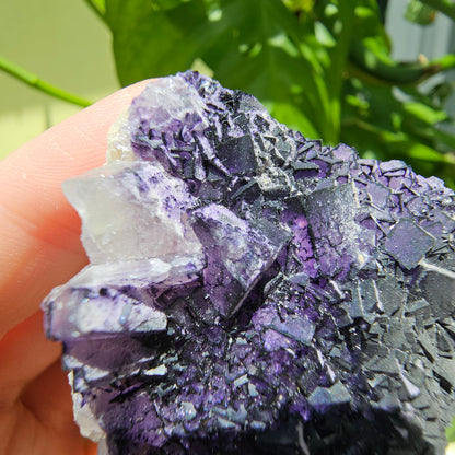 "QR Code" Fluorite from China #38a