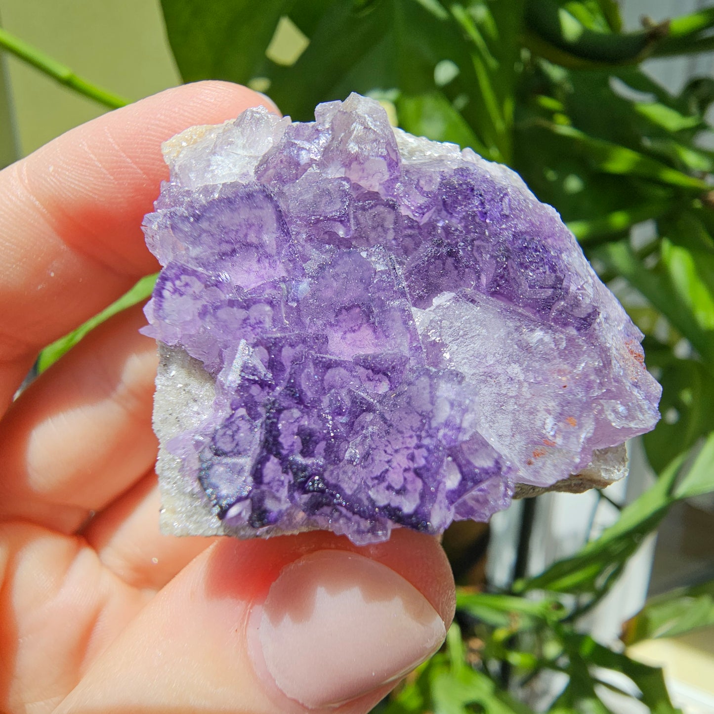 "QR Code" Fluorite from China #28e