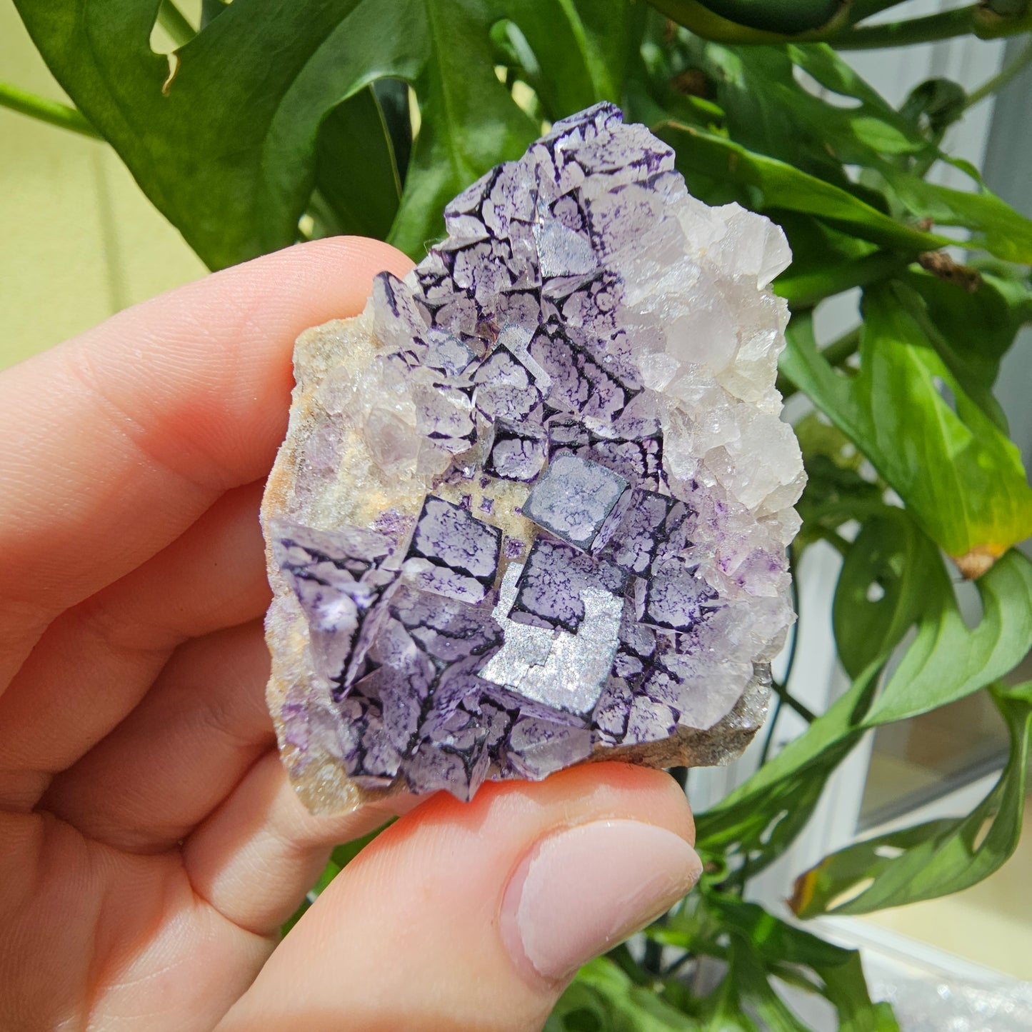 "QR Code" Fluorite from China #32k