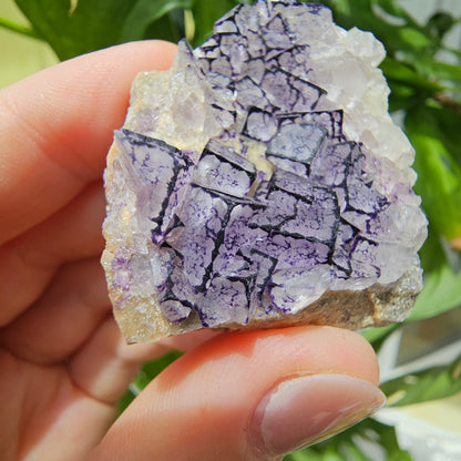 "QR Code" Fluorite from China #32k