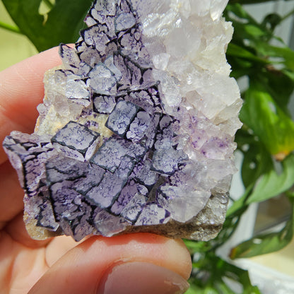 "QR Code" Fluorite from China #32k