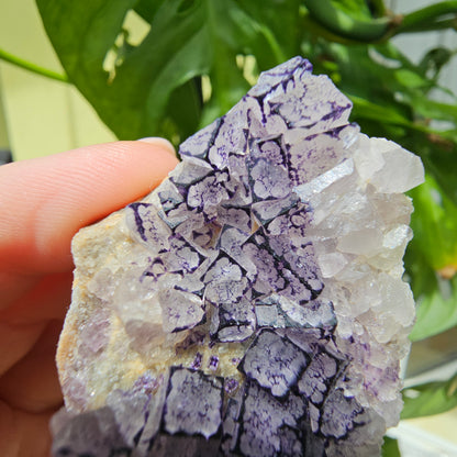 "QR Code" Fluorite from China #32k