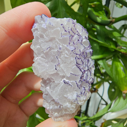 "QR Code" Fluorite from China #25l