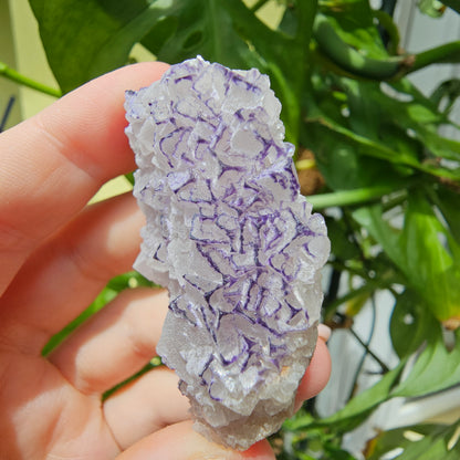 "QR Code" Fluorite from China #25l