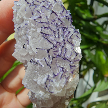 "QR Code" Fluorite from China #25l