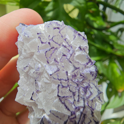 "QR Code" Fluorite from China #25l