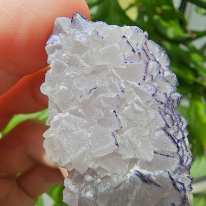 "QR Code" Fluorite from China #25l