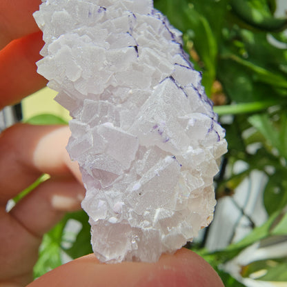 "QR Code" Fluorite from China #25l